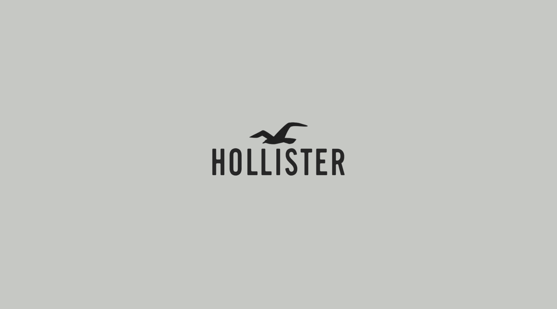 Hollister Co Logo